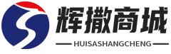 河源辉撒网络科技有限公司